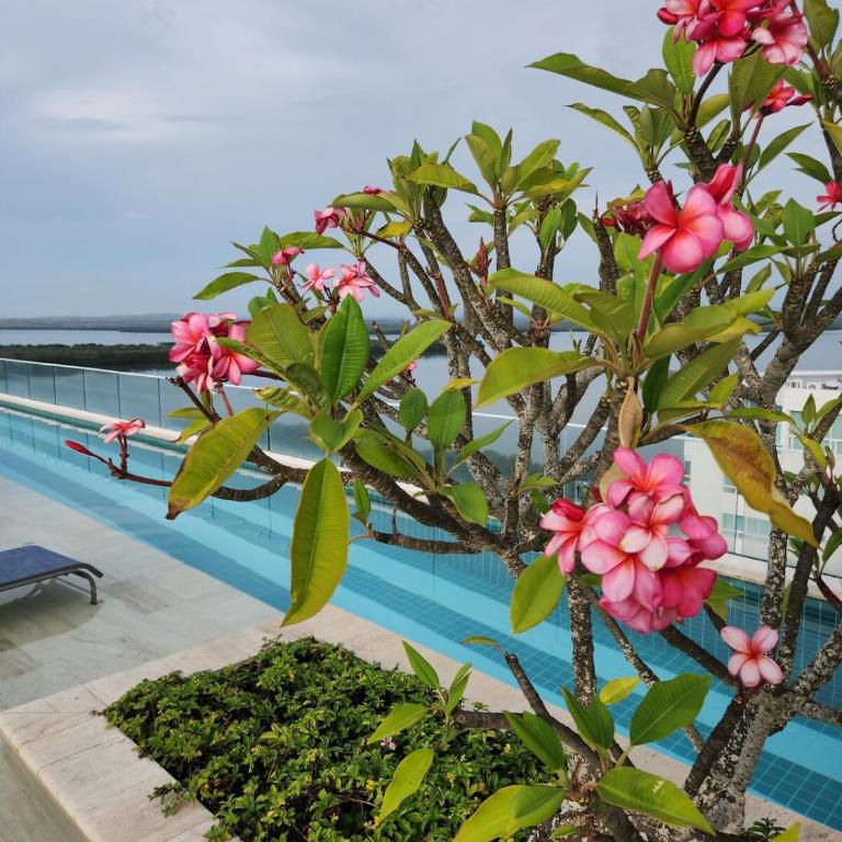 Exclusive Apartment with Private Jacuzzi - Two-Bedroom Apartment - 20