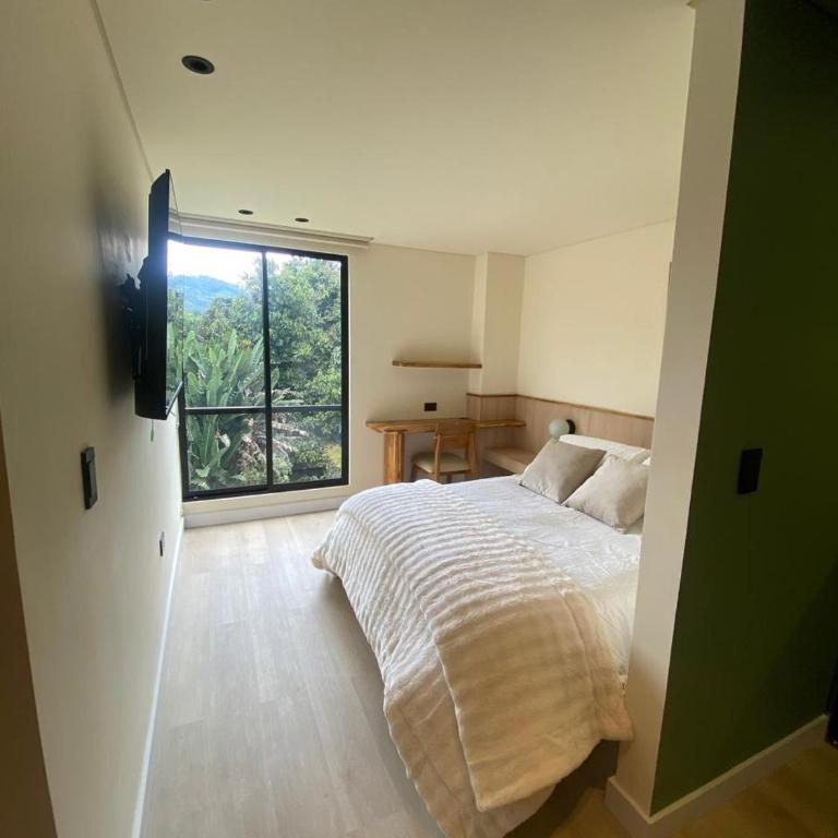 Casa Toro - Deluxe One-Bedroom Apartment - 10