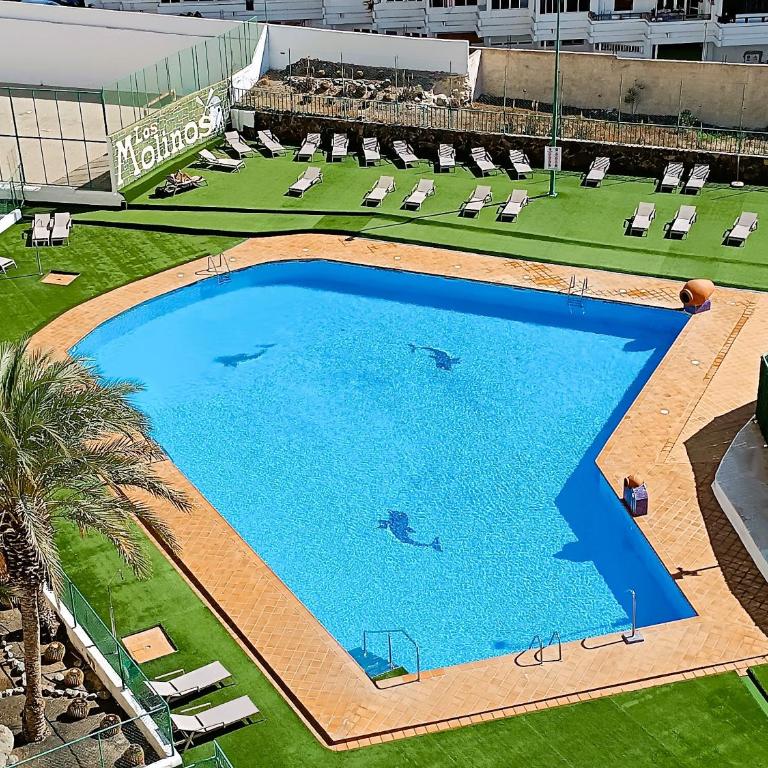 Molinos holidays playa del inglés - Apartment with Terrace - 1