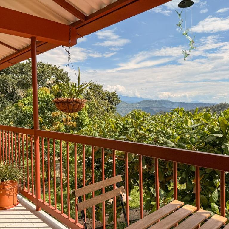 El Nido Andino - Suite con cama grande y balcón - 12