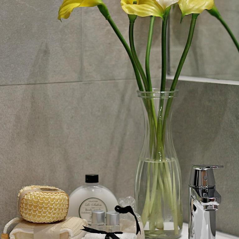 Apartamentos Suites Oficentro Deluxe - Estudio Deluxe - 2