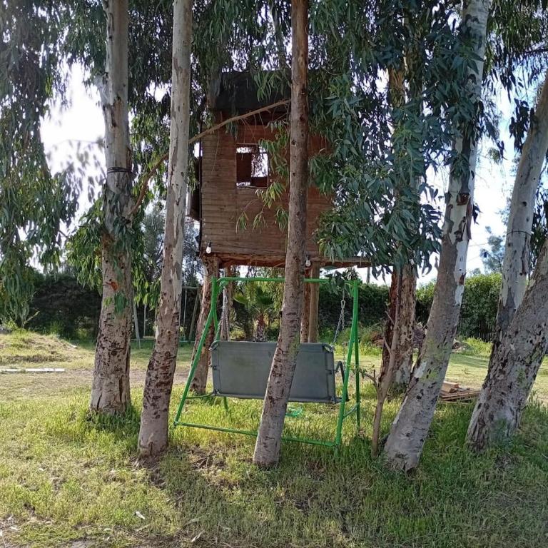 Parcela en Mallarauco - Four-Bedroom House - 25