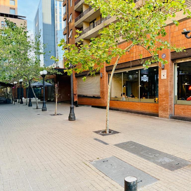 Corazón de Providencia 1D Free Parking - One-Bedroom Apartment - 97
