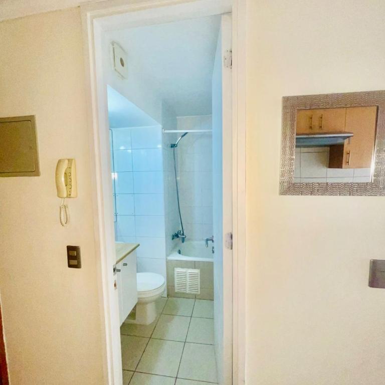 Studio in Lastarria - art, culture and gastronomy - One-Bedroom Apartment - 17