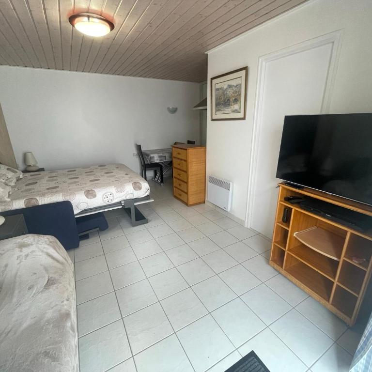 Studio confortable secteur le Phare proche plage - FR-1-22-389 - Estudio - 10