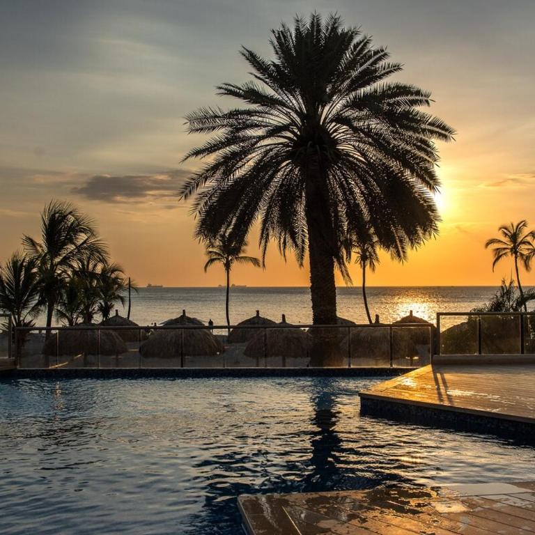 Luxurious oceanfront apartmen - Apartamento de 1 dormitorio - 41