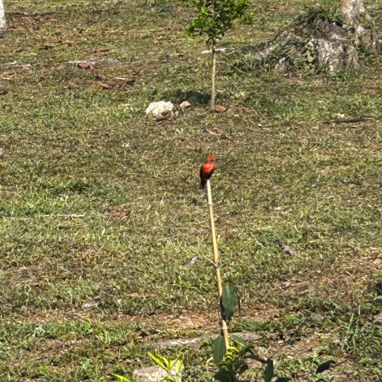 Entre Nubes - Casa - 16