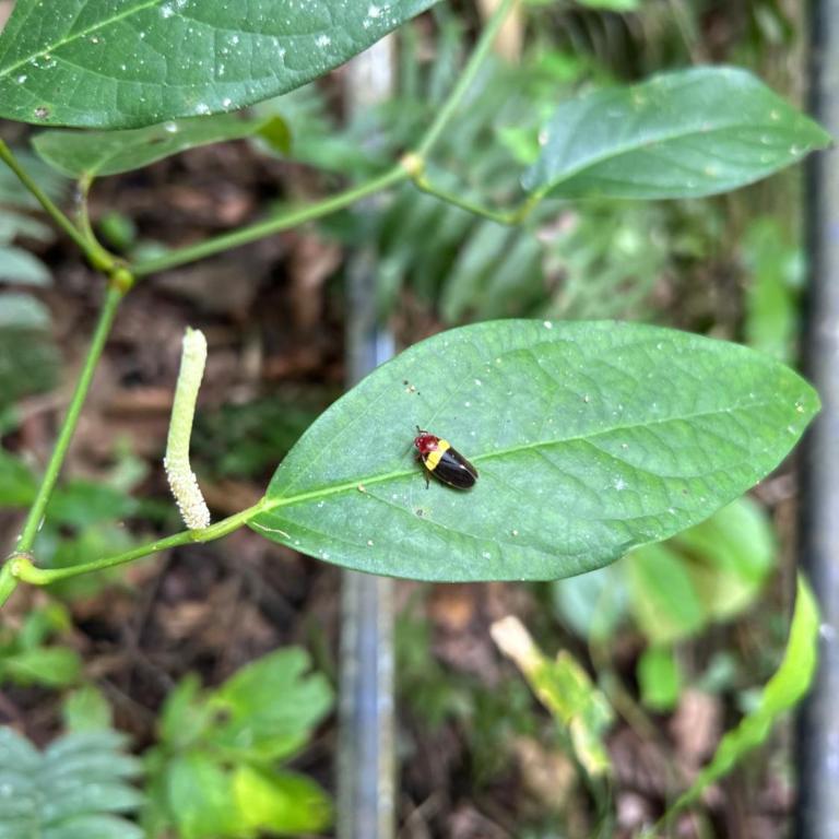 Entre Nubes - Casa - 14