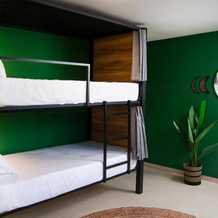 Bohemia Boutique Hostel - Cama en habitación compartida con 4 camas - 4