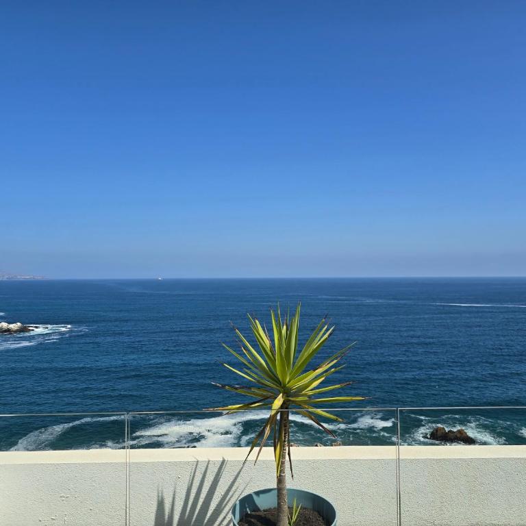 Hermoso departamento en Reñaca - One-Bedroom Apartment - 13