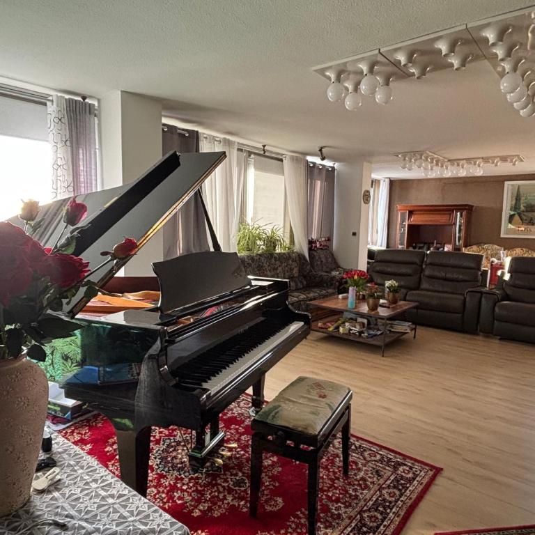Bel appartement bourgeois 170 m2 Proche gare et Place Stanislas, Nancy - Appartement - 1