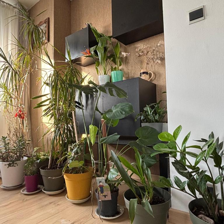 Bel appartement bourgeois 170 m2 Proche gare et Place Stanislas, Nancy - Appartement - 6