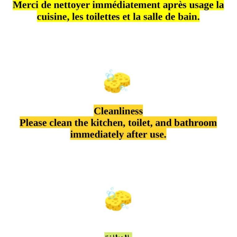 Bel appartement bourgeois 170 m2 Proche gare et Place Stanislas, Nancy - Appartement - 46