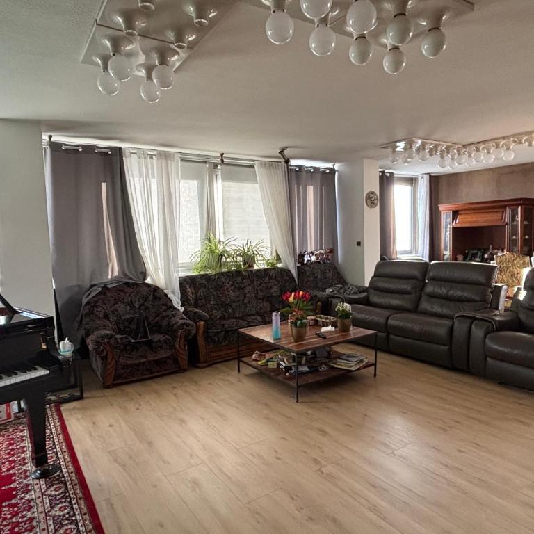 Bel appartement bourgeois 170 m2 Proche gare et Place Stanislas, Nancy - Appartement - 2