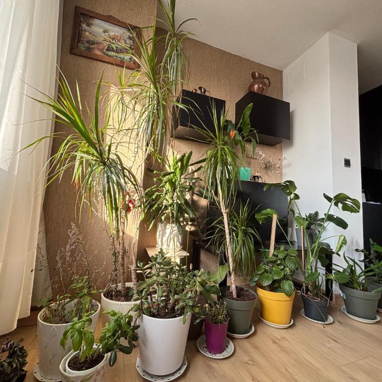 Bel appartement bourgeois 170 m2 Proche gare et Place Stanislas, Nancy - Appartement - 11