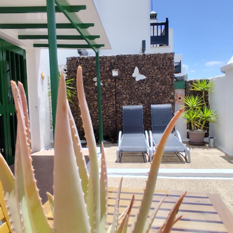 Ave Paraíso - Cozy and Sunny house - Two-Bedroom Apartment - 2