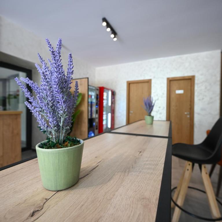 Apartman A&B, Zlatibor - Two-Bedroom Apartment - 76