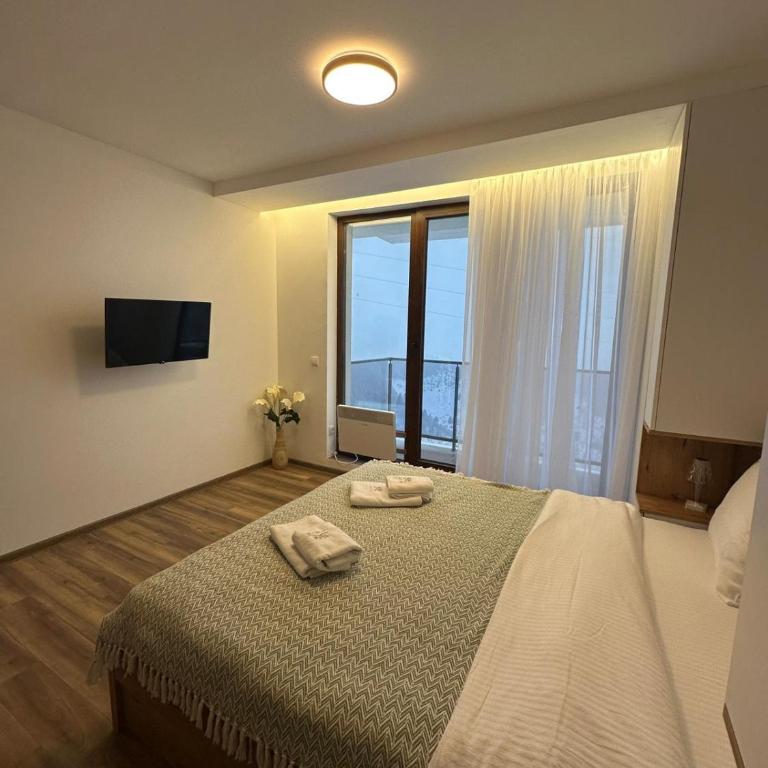 Snowflake A10 - One-Bedroom Apartment - 12