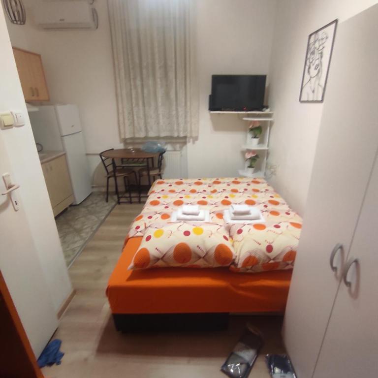 Centar Apartman Trivanović tipa studio - Apartman sa 1 Spavaćom Sobom - 1