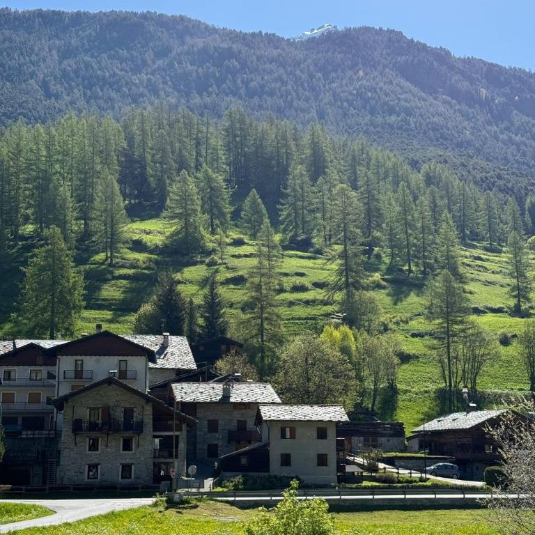 Highlander - Appartamento Charmant con Vista e Spazio Esterno - Horizon Vacanze - Apartamento de 2 dormitorios - 12