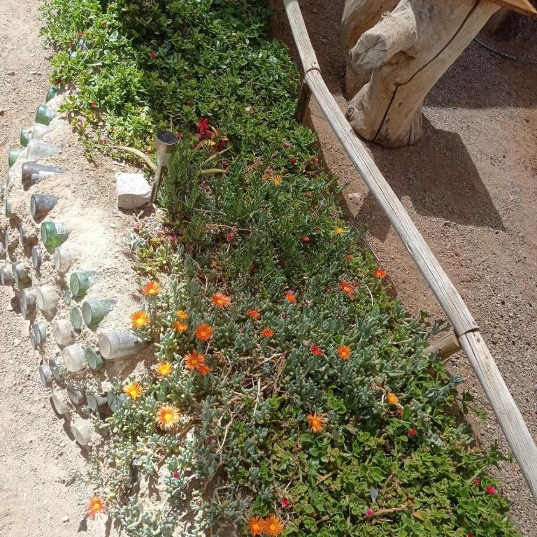 Alojamiento económico valle de Elqui - One-Bedroom House - 7