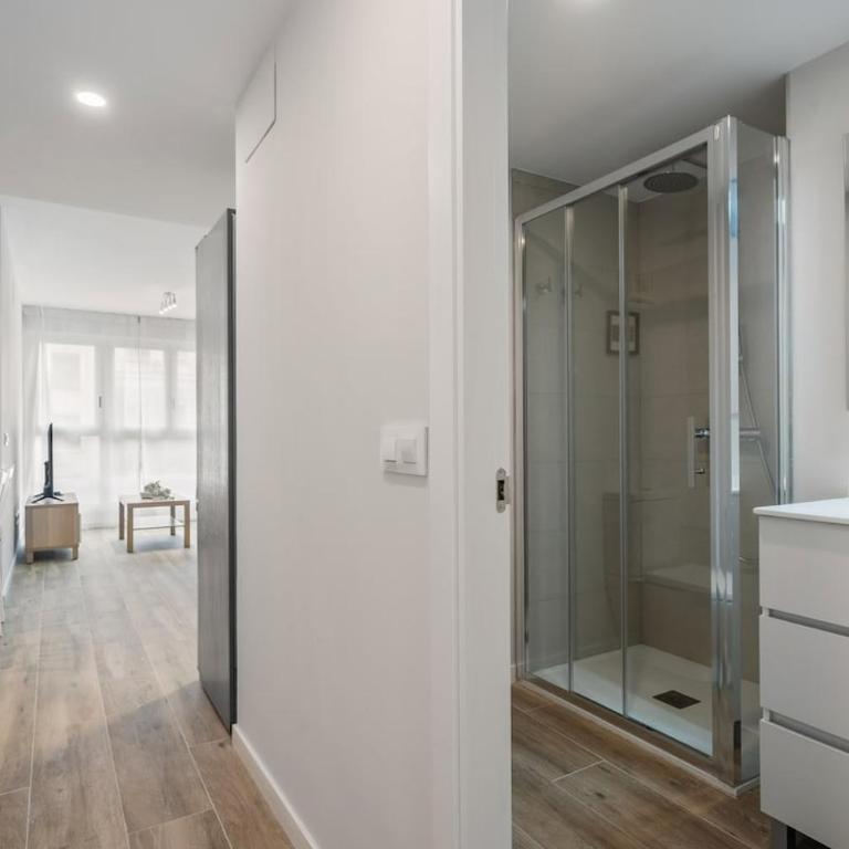 Accessible flat near the Toledo Bridge - 4B - One-Bedroom Apartment - 13