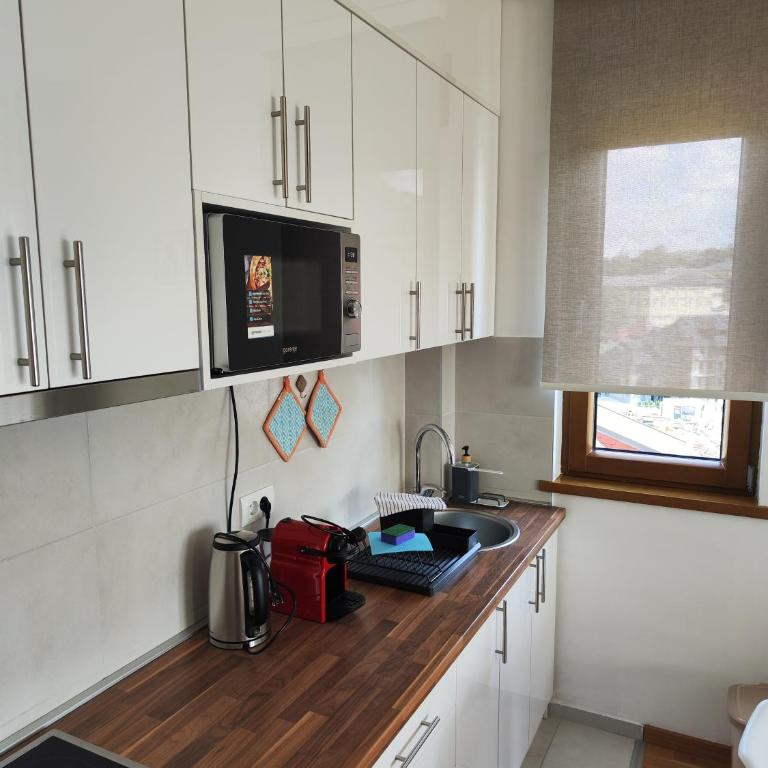 Gaga apartman Zlatibor - Apartman sa 1 Spavaćom Sobom - 11