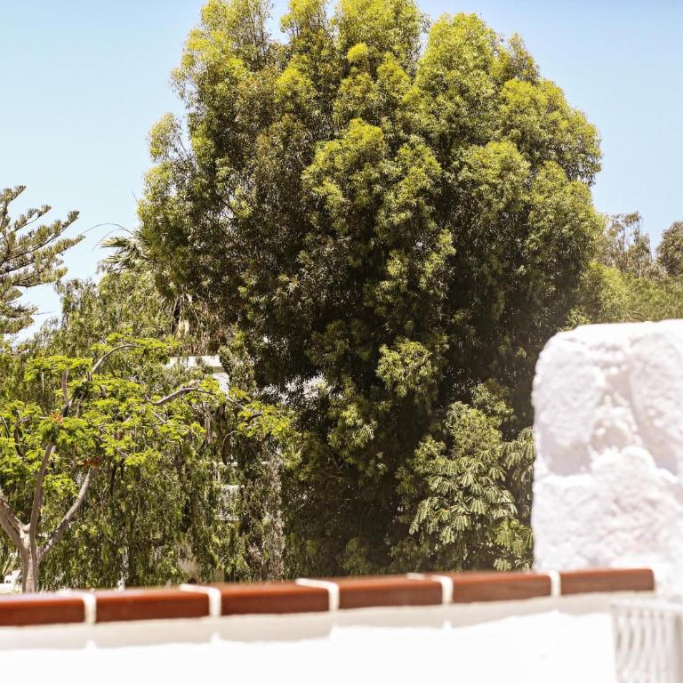 Sunny Terrace Apartment Chaparral - Apartamento - 20