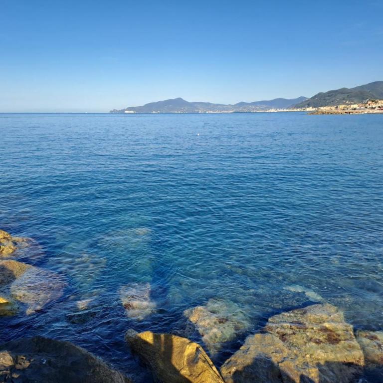 182 - Casa degli Ulivi Cavi di Lavagna, 50metri dal mare e dalle spiagge - Appartamento con 2 Camere da Letto - 49