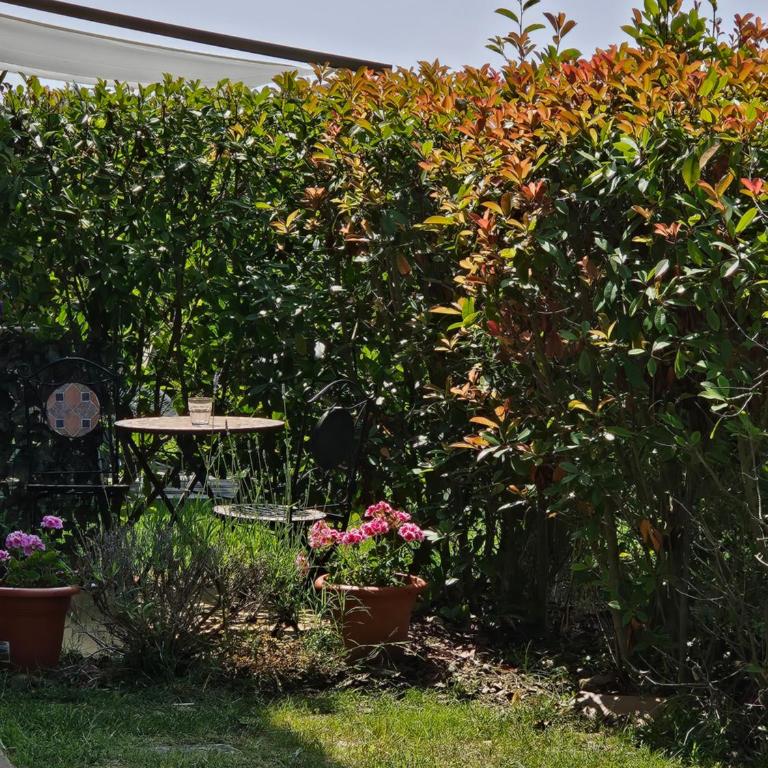 casa il pozzo - Apartment - Ground Floor - 49