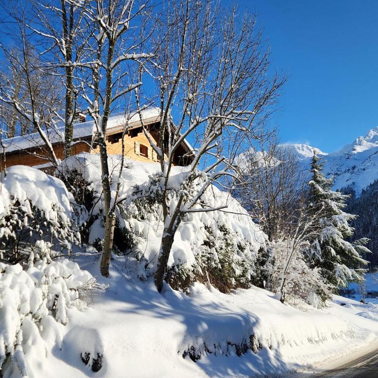Chalet Le Lezard - Comfort Apartment - 14