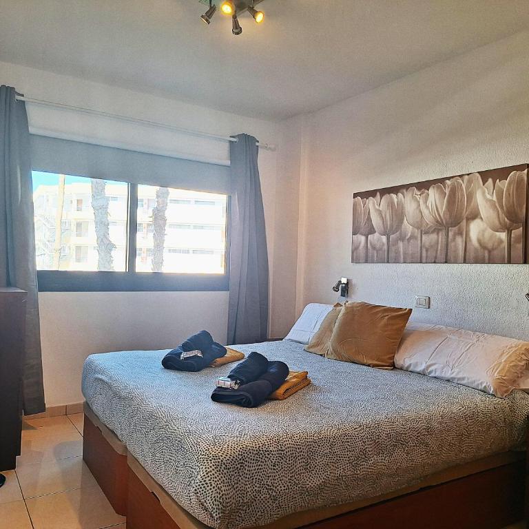 P&P - Apartment Iguazu - simply the best location! - Apartamento de 1 dormitorio - 20