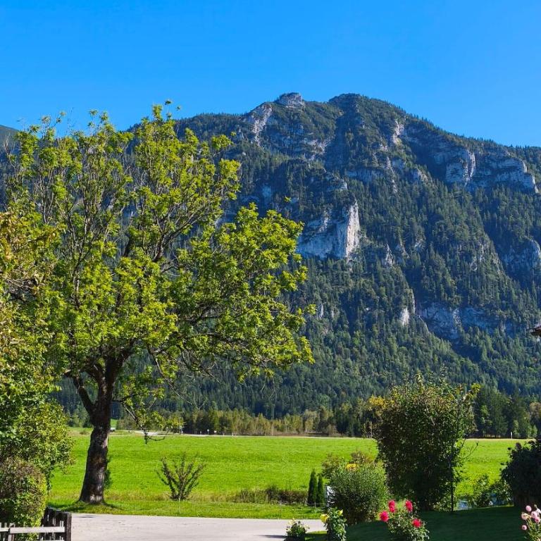 Alpen-Oase - Gemütliche FEWO mit Terrasse - Apartment mit 1 Schlafzimmer - 15