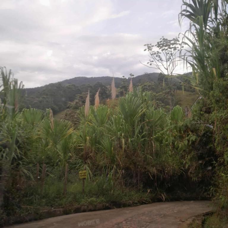 Casita el mirador solo naturaleza - Chalet - 1