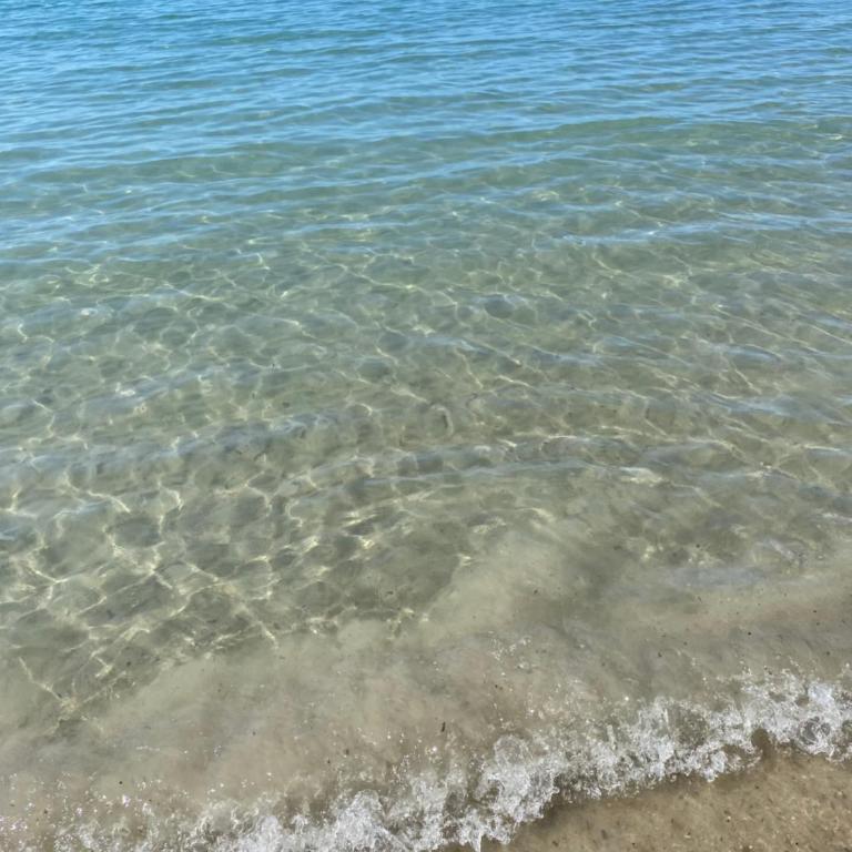 l'appart de la mer Sanary, confort absolu, tout à pied, port, plage, clim et garage privé - Apartamento de 1 dormitorio - 38