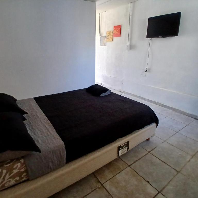 Alojamientos viedma - Apartamento de 1 dormitorio - 1