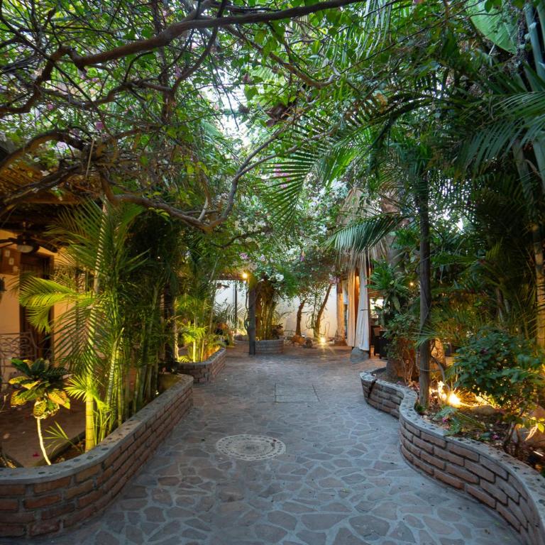 Posada de las Flores La Paz - Habitación Estándar - 1 cama grande - 2