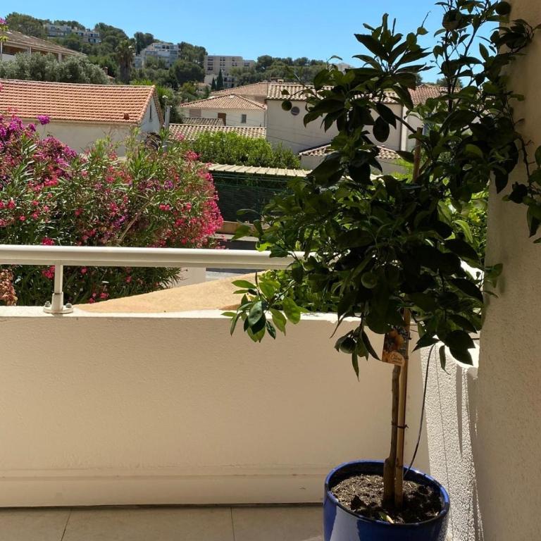 Le saint pierre St Mandrier - Apartamento de 2 dormitorios - 3