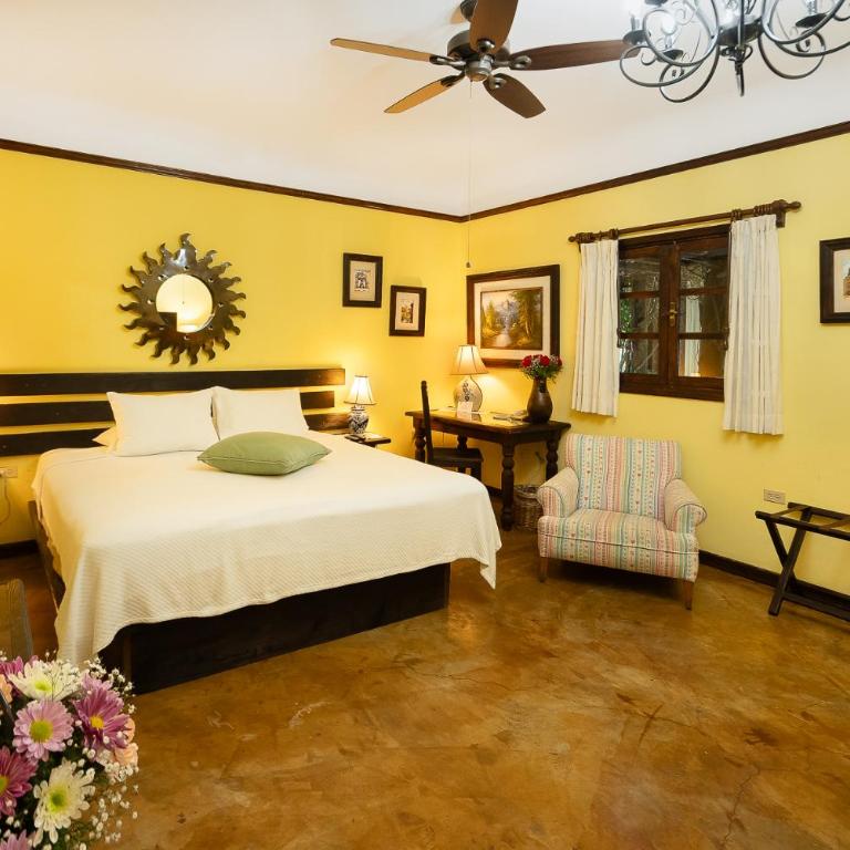 Posada de las Flores La Paz - Habitación Estándar - 1 cama grande - 6