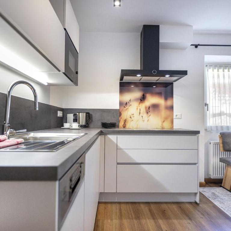 Pivan Apartments - Appartamento con Vista e Balcone - 22