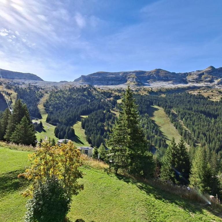 Appartement Flaine Forêt - Appartement 1 Chambre Confort - Orienté Sud - 15