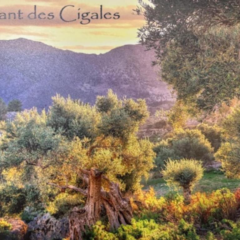 "The Song of the Cicadas" - Two-Bedroom Apartment - 15