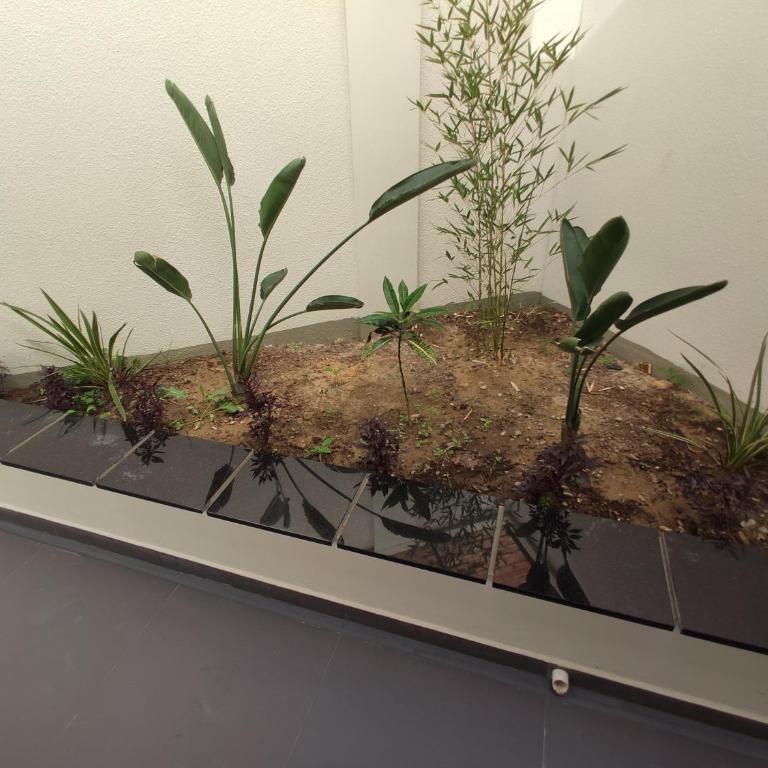 Departamento Único, Ave Paraíso - One-Bedroom Apartment - 17