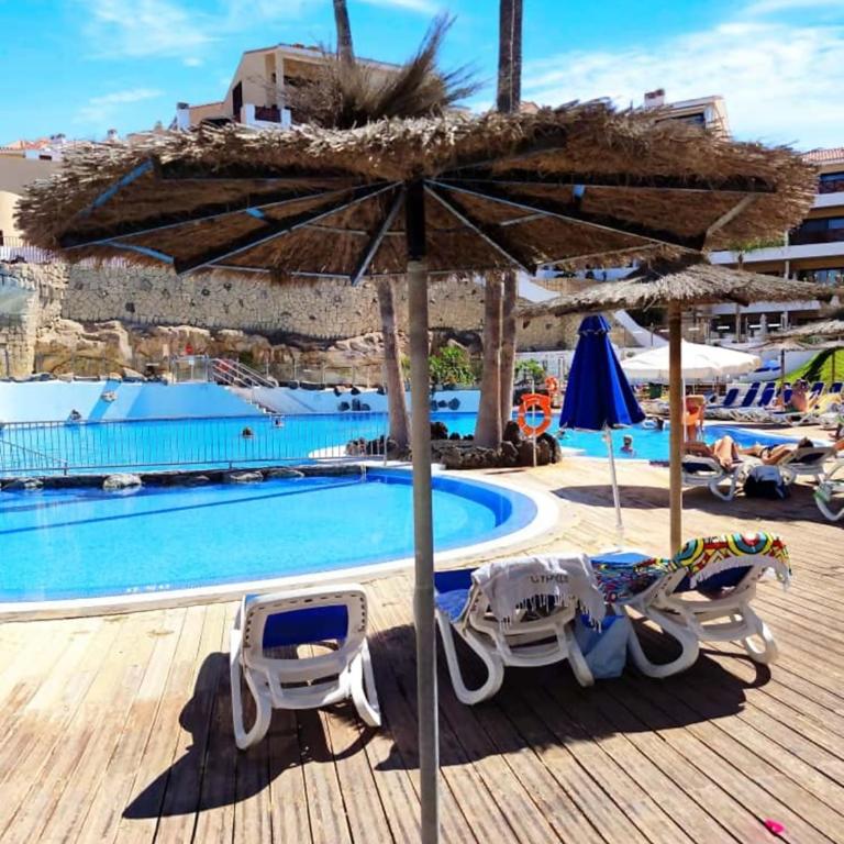 Appartamento Parque Albatros vista piscina e mare - Apartamento con vistas a la piscina - 14