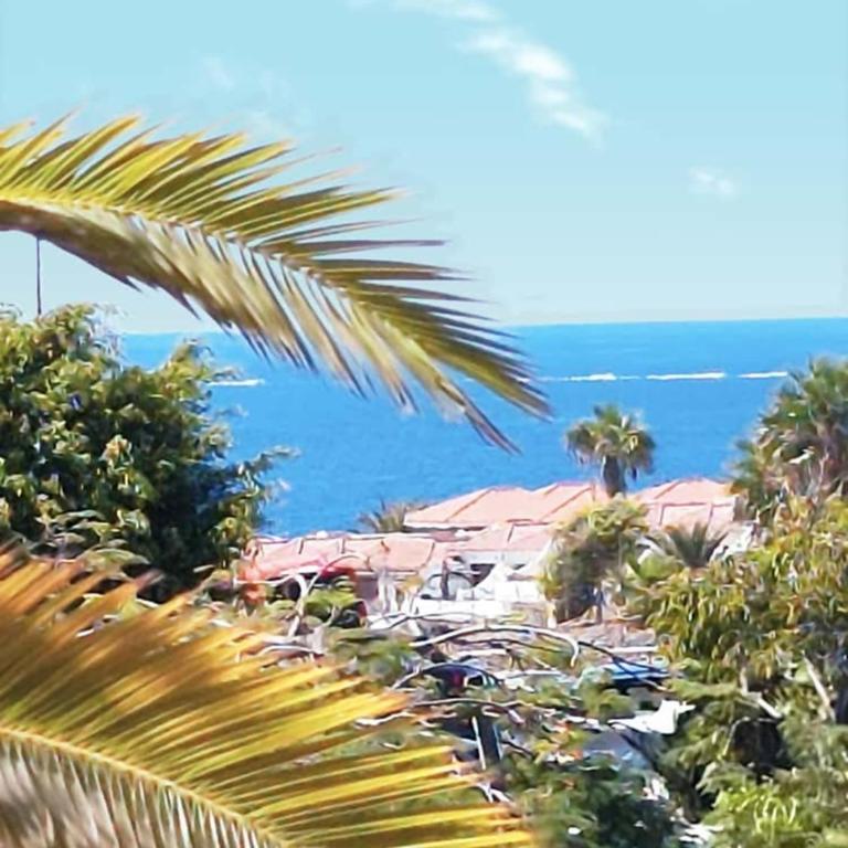 Appartamento Parque Albatros vista piscina e mare - Apartamento con vistas a la piscina - 26