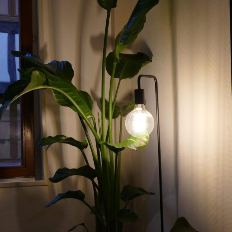 Appartement Confort en Couleurs - One-Bedroom Apartment - 10