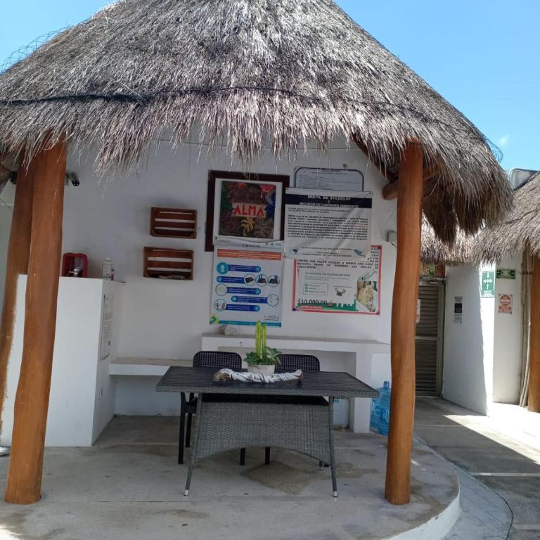 Deptos Alma - Apartamento de 1 dormitorio - 7