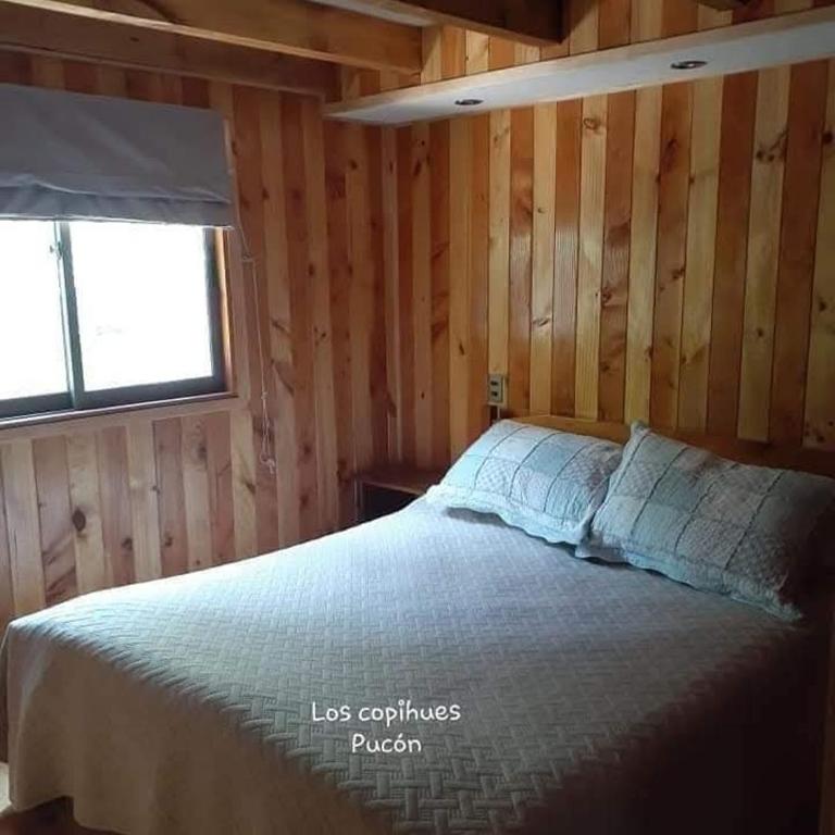 Cabaña los copihues pucón - Casa con 1 dormitorio - 4