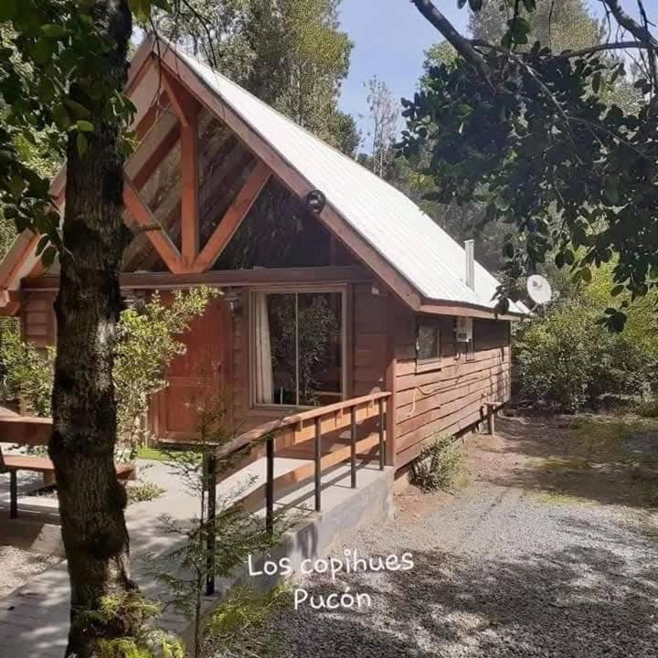 Cabaña los copihues pucón - Casa con 1 dormitorio - 1