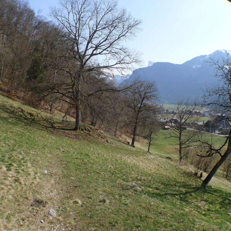 Chalet familial calme proche centre, 8 pers, WiFi, garage - FR-1-629-103 - Chalet - 11